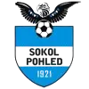 TJ Sokol Pohled logo