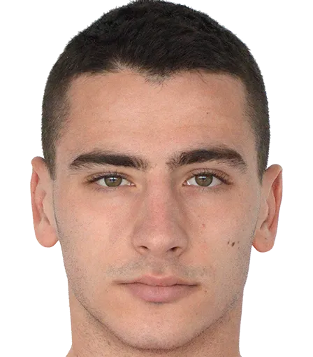 Nikola Ristovic logo