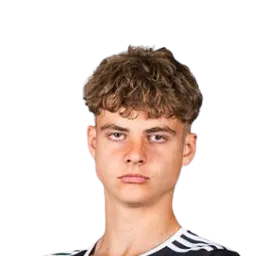 rendijs mihelsons logo