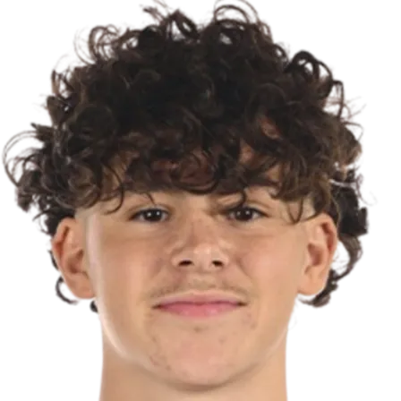 Loïc Alvarez Fernandez logo