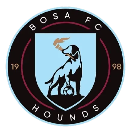 BOSA SC logo