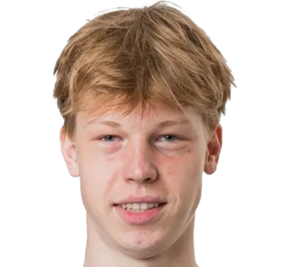 D. Møller Wolfe logo