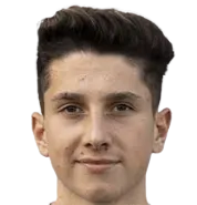 Tarik Ibrahimagić logo