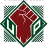 Fighting Maroons (w) logo