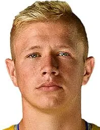 Dominik Veselovský logo