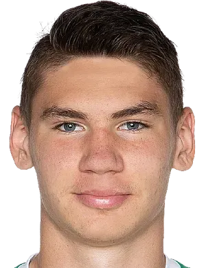 Vladimir Shaykhutdinov logo