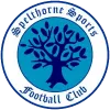 Spelthorne Sports logo