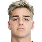 Alessandro Tripaldelli logo