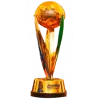 Azerbaijani cup winner logo