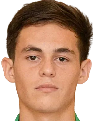 Turpal-Ali Ibishev logo