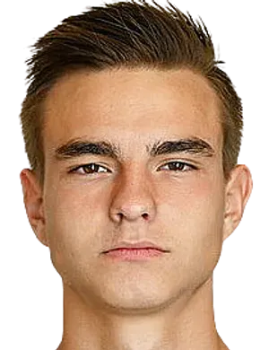 Dmitriy Paderin logo