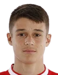 Nicolo Tresoldi logo