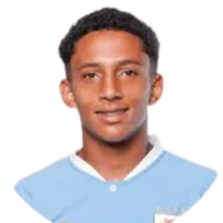 Stiven Muhlethaler logo