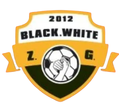 Zigong Black White logo