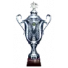 BeNe Women's Super Cup winner logo