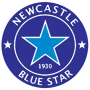 Blue Star logo