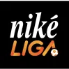 Slovak Nike liga photo 