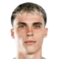 Almin mesanovic logo