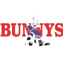 Osaka Sangyo University Women logo