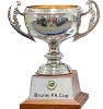 Brunei Cup Winner logo
