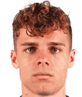 Edoardo Vergani logo