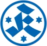 German cup runner-up logo