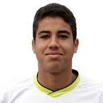 Misael Llantén logo