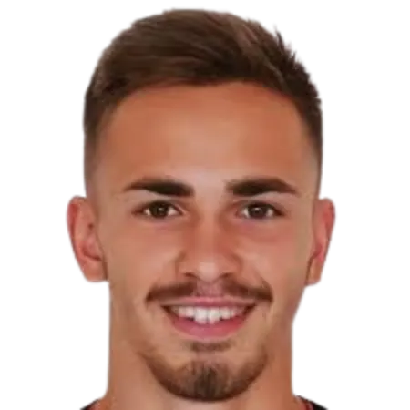 Nemanja Stevanović logo