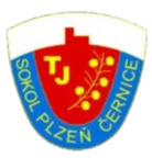 TJ Sokol Cernice logo
