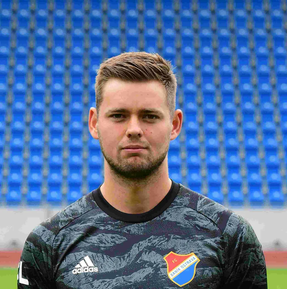 Viktor Budinský logo