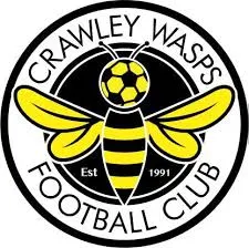 Crawley Wasps Women logo