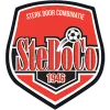 SteDoCo logo