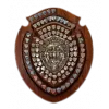 SWPL Cup winner logo