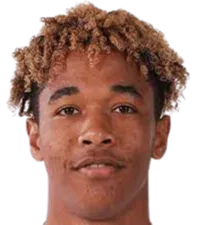 Nicolas Mercier logo