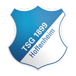 Hoffenheim Women logo