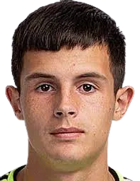 Dan-Angelo Boţan logo