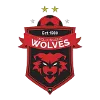 Wollongong Wolves U20 logo