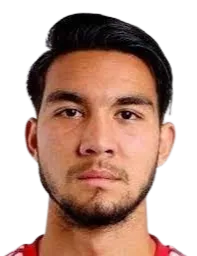 Gino van den Berg logo