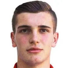 Nardin Mulahusejnović logo