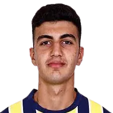 efe yigit demir logo