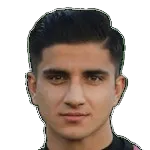 Mohammadreza Dinarvand logo