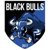 Black Bulls logo