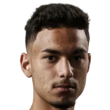 Nishan Velupillay logo