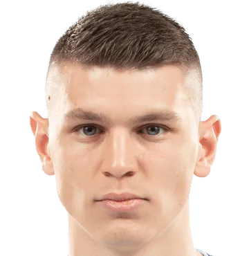 Ranko Veselinovic logo