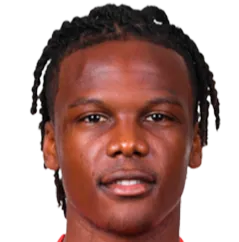 Dedryck Boyata logo