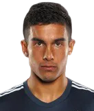 Sebastian Fernandez logo