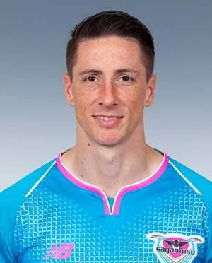 Fernando Torres logo