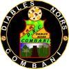 Diables Noirs logo