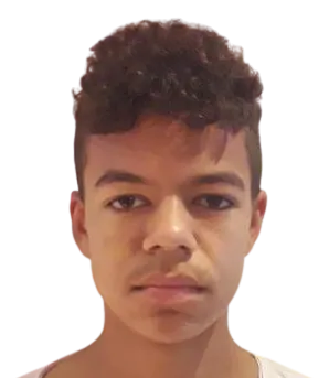 Mark Antonio Havier logo