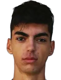 aleks stojakovic portrait